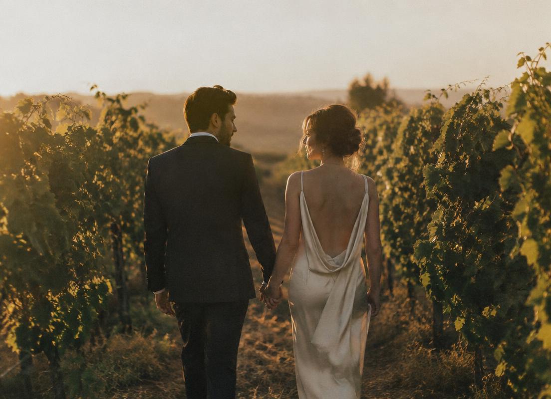 Through the vineyard at golden hour
